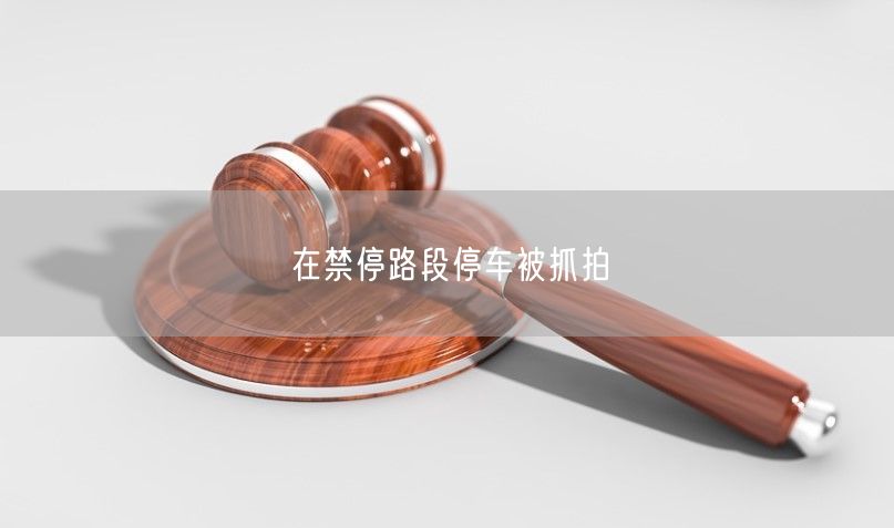 在禁停路段停车被抓拍