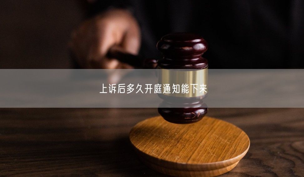 上诉后多久开庭通知能下来