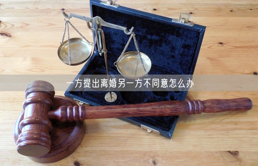 一方提出离婚另一方不同意怎么办