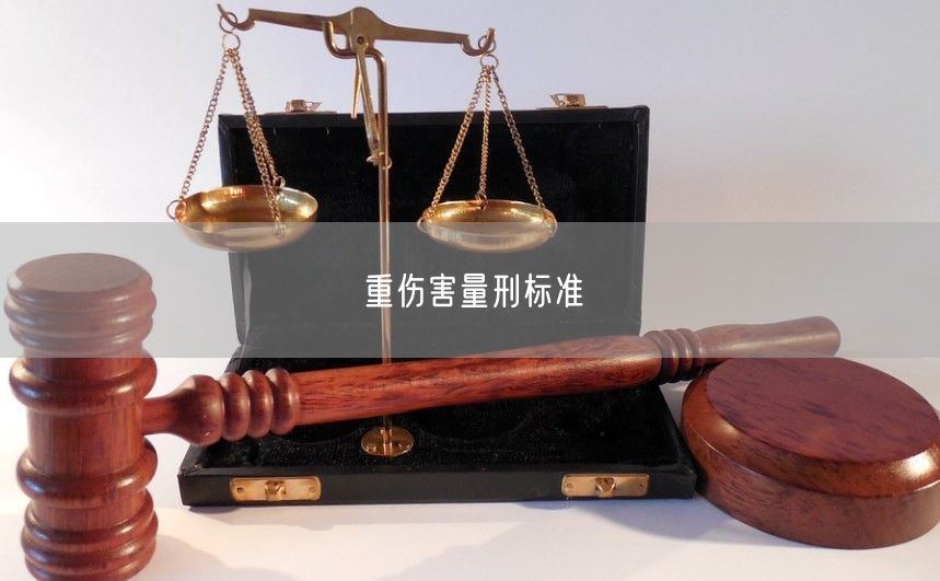 重伤害量刑标准