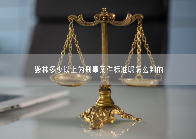 毁林多少以上为刑事案件标准呢怎么判的