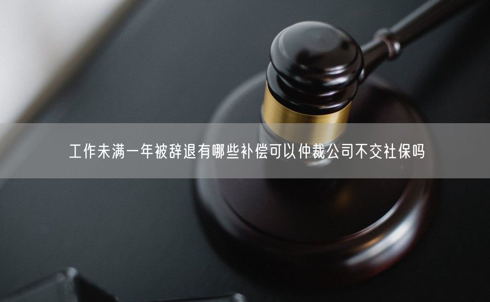 工作未满一年被辞退有哪些补偿可以仲裁公司不交社保吗