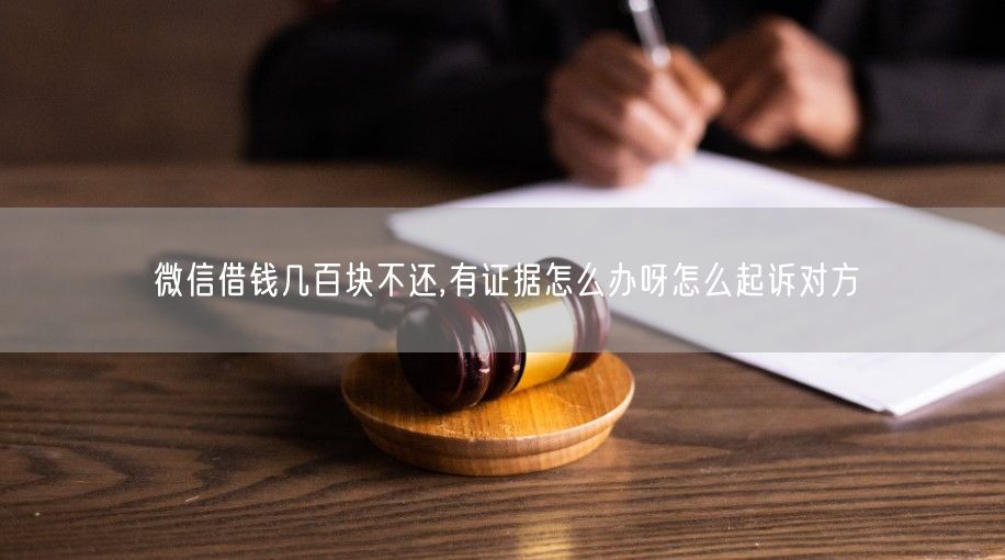 微信借钱几百块不还,有证据怎么办呀怎么起诉对方