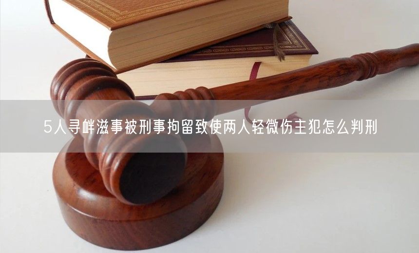 5人寻衅滋事被刑事拘留致使两人轻微伤主犯怎么判刑