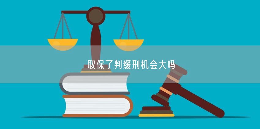 取保了判缓刑机会大吗