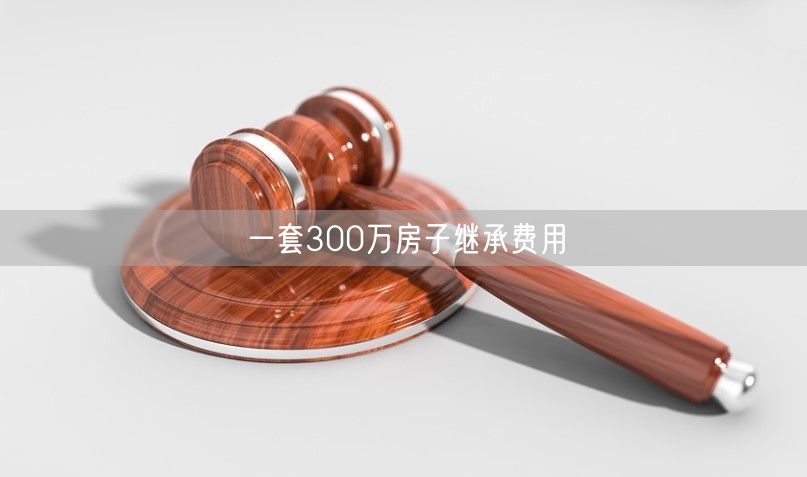 一套300万房子继承费用