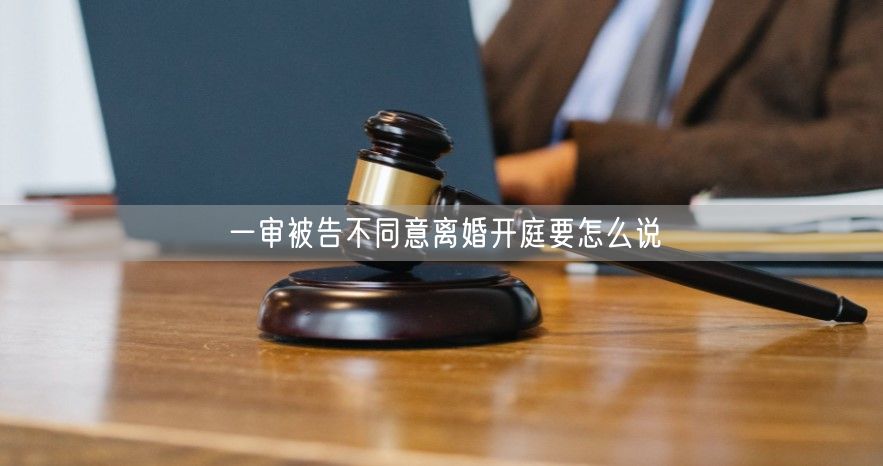 一审被告不同意离婚开庭要怎么说