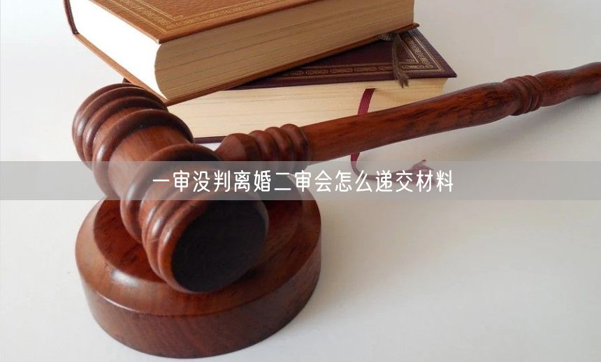 一审没判离婚二审会怎么递交材料