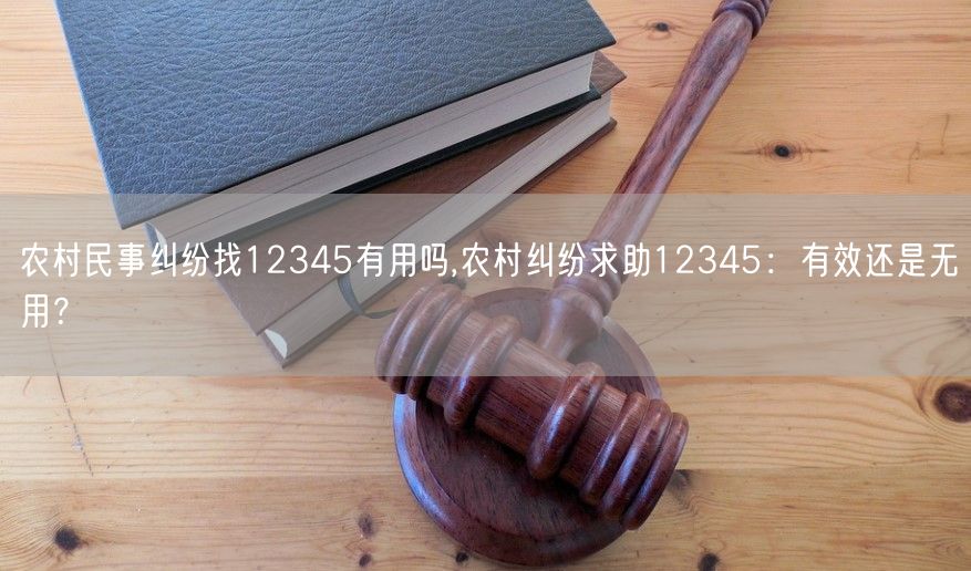 农村民事纠纷找12345有用吗,农村纠纷求助12345：有效还是无用？