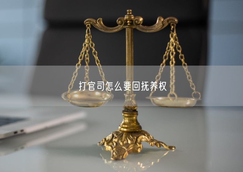 打官司怎么要回抚养权