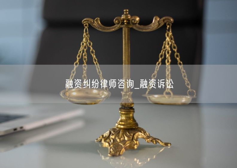 融资纠纷律师咨询_融资诉讼