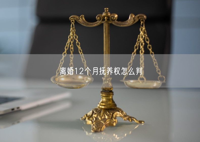 离婚12个月抚养权怎么判