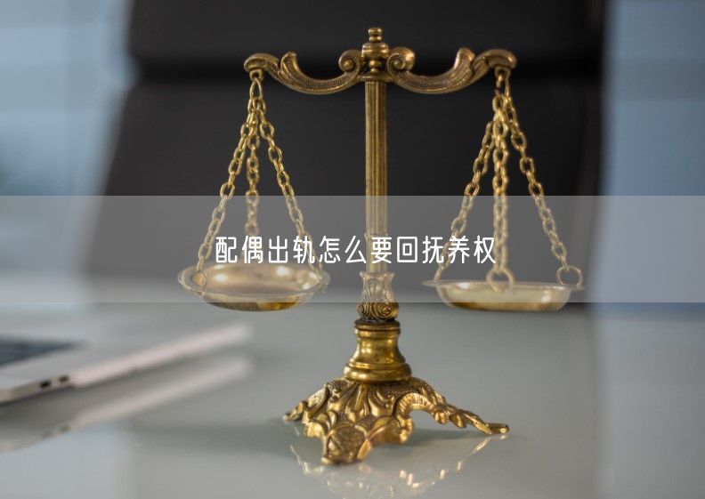 配偶出轨怎么要回抚养权