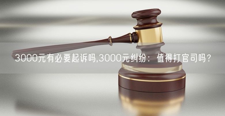 3000元有必要起诉吗,3000元纠纷：值得打官司吗？